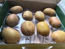 佳沛（zespri）新西兰阳光金奇异果10粒巨大果单果146-175g 猕猴桃水果礼盒 实拍图