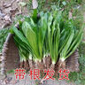 英氏（Engnice）英氏婴幼儿牛肉泥120g婴儿辅食肉泥宝宝肉类辅食蔬菜泥 实拍图