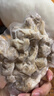 馥华福州肉燕 香菇肉馅230g*1包27只 太平燕福建特产手工燕皮馄饨扁肉 实拍图
