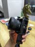 唯卓仕（VILTROX）AF 56mm F1.7 Z尼康口大光圈自动对焦人像定焦镜头适用于Z30 Z50 ZFC Z50II微单相机  实拍图