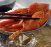 正大雪花鸡排2斤约10片 早餐半成品冷冻鸡胸肉炸鸡排鸡扒酥脆大块鸡肉 实拍图