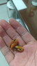 北海印象【北海产地】淡菜干海虹干250g海鲜干货贻贝火锅食材源头直发包邮 实拍图