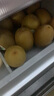 佳沛（zespri）x1号会员店联名款阳光金奇异果24粒礼盒单果约103-124g水果猕猴桃 实拍图