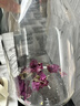 杞里香 玫瑰花冠茶叶养生茶干瓣花草茶平阴重瓣花无硫大朵泡水喝30g 实拍图