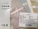 俞兆林女士内裤女纯棉抑菌底档纯色中腰三角裤女包臀无痕透气少女 XL 实拍图
