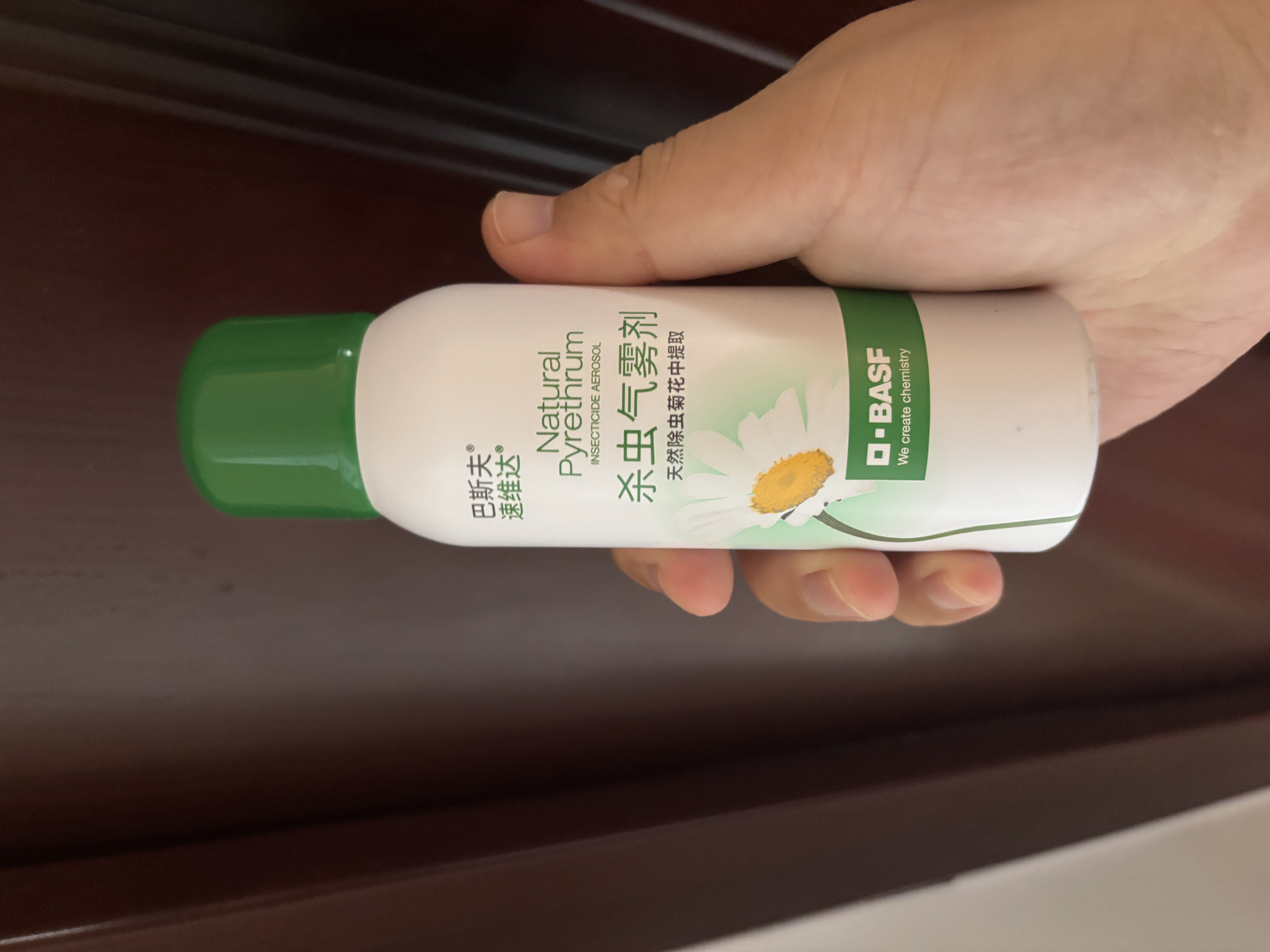 巴斯夫除虫菊杀虫剂喷雾蟑螂药跳蚤苍蝇蚊子非蚂蚁臭虫衣鱼虫小飞虫80ml 实拍图