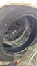 固特异（Goodyear）汽车轮胎 235/55R18 100V EGP SUV 御乘二代 SUV 原配探岳/领克05 实拍图