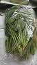 大菠菜300g 实拍图