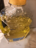 多力葵花籽油1.8L小瓶家用压榨零反式脂肪酸食用油  团购送礼 实拍图
