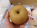 京鲜生【绿色认证】长城羊脂秋月梨 4.5斤装 大果5-7粒 单果300g+ 水果 实拍图