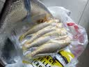 黄小渔宁德三去黄花鱼600g/4条大黄鱼生鲜海鲜水产深海鱼类清蒸烧烤 实拍图