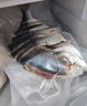 广东湛江淡晒特大金鲳鱼干3条装 真空包装 鲜鱼活晒干货食材 3条（每条500-550克）共约1500g 晒单实拍图