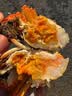 【活蟹】阳澄帝 大闸蟹鲜活  现货特大螃蟹公蟹母蟹精品礼盒装 精品六月黄3.0-3.3两  8只装 实拍图