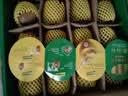 佳沛（zespri）新西兰 阳光金奇异果12粒特大果单果124-146g 猕猴桃水果礼盒 实拍图