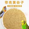 再再新黄谷子中小型鹦鹉饲料鸟粮食带壳小米虎皮玄凤牡丹食物粮食鸟粮 5斤装优质黄谷子 实拍图