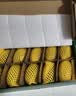 佳沛（zespri）新西兰阳光金果10个装单果重约103-114g 水果礼盒 猕猴桃 实拍图