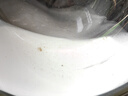 老管家洗衣机清洁剂375g*3盒波轮滚筒式洗衣机清洗剂强力除垢杀菌 实拍图