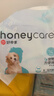HONEYCARE狗狗纸尿裤公狗用S码12片可调节魔术贴3包不侧漏小型犬 实拍图