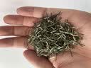 陈一凡毛尖茶250g 特级浓香型春茶明前炒青绿茶茶叶袋装 实拍图