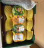 佳沛（zespri）新西兰 阳光金奇异果12粒特大果单果124-146g 猕猴桃水果礼盒 实拍图