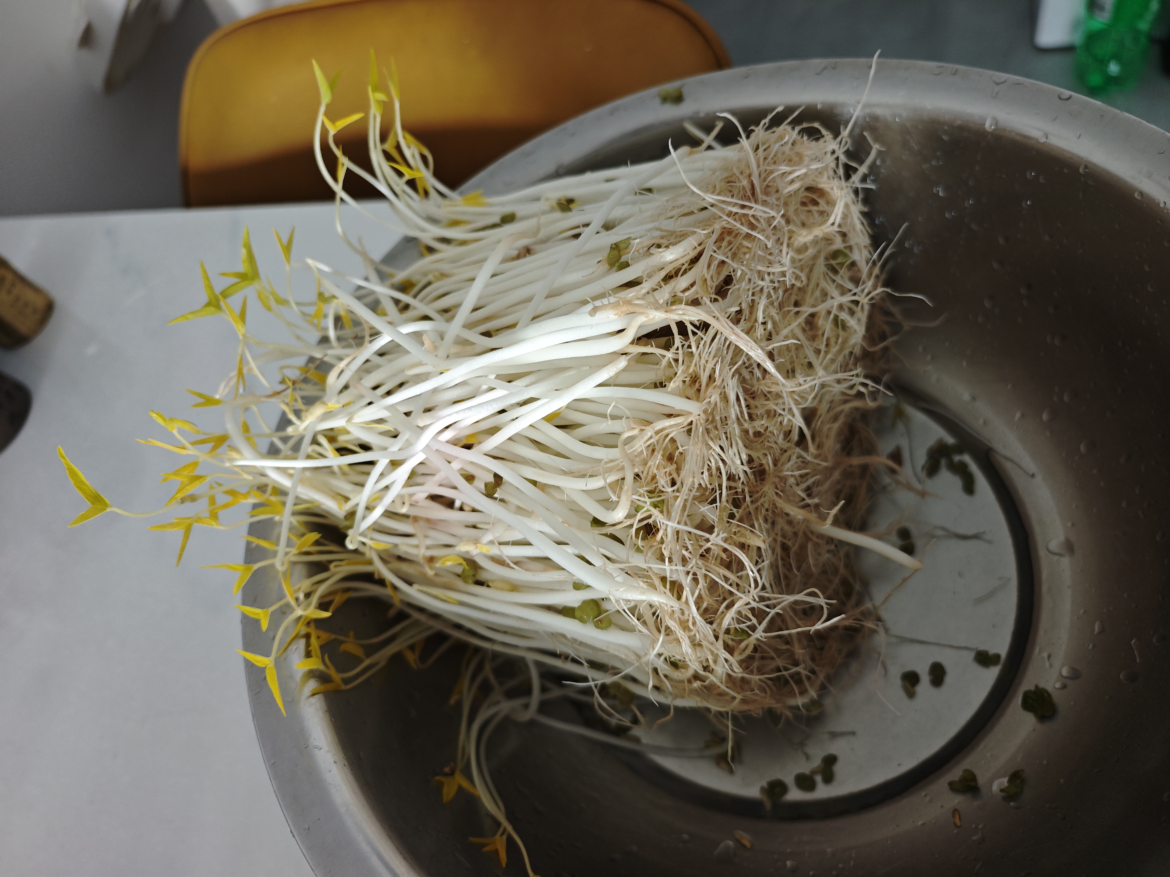 田园梦生豆芽机家用全自动紫砂豆芽罐豆芽发芽神器食品级发花生芽胖豆芽 大号紫砂豆芽罐（每年送麦饭石） 实拍图