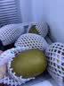 佳沛（zespri）新西兰阳光金奇异果10粒巨大果单果146-175g 猕猴桃水果礼盒 实拍图