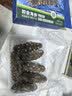 宫壹大连即食海参1斤 4-6只盒装 参王 京东自营 底播辽刺参免泡发 实拍图