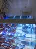 金利佳鱼缸过滤器净水循环三合一水泵干湿分离净水器内置外置过滤滴流盒 全新升级五滤盒+水泵滤材+干湿分离盒 实拍图