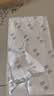 【4盒装】仲景 玉屏风口服液非玉屏风散颗粒10ml*12支 益气固表止汗体虚易感风邪 含黄芪防风白术（0添加剂） 实拍图