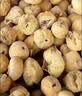 福东海 无花果干180克【新疆源产】 颗颗精选无花果片茶即食泡水煲汤 实拍图