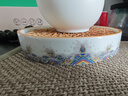 容山堂珐琅彩泡茶杯陶瓷主人杯单杯茶盏公道杯盖碗茶洗壶承茶壶功夫茶具 金丝珐琅壶承 实拍图