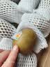 佳沛（zespri）新西兰阳光金果10个装单果重约103-114g 水果礼盒 猕猴桃 实拍图