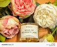 BYREDO柏芮朵 无人区玫瑰浓香水100ml 花香调七夕生日礼物 实拍图