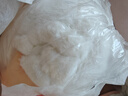 熊猫熊大白鹅玩偶抱枕睡觉长条毛绒玩具布娃娃公仔七夕情人节礼物送女友 实拍图