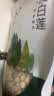方家铺子莲子400g湘潭磨皮通芯大号白莲子去芯桂圆枸杞百合银耳羹粽子食材 实拍图