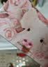 完美日记（PERFECT DIARY）完美日记探险家12色眼影盘小猪玫瑰14g七夕礼物送女生 实拍图