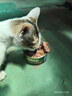 力狼（LILANG）宠物猫粮幼猫成猫零食猫湿粮猫咪猫罐头 金枪鱼+混合口味170g*12罐 实拍图