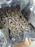 太守堂 薰衣草100克 新疆薰衣草中药材天然无杂质干货 干花粒泡茶养生 实拍图