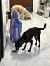 伯纳天纯狗粮中大型犬全价成年犬粮17kg羊肉蔓越莓味囤货装 实拍图