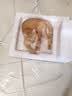 喔喔（WOWO）全价猫粮 经典大蓝包冻干三鲜成猫通用猫干粮囤货装 混合口味12kg 实拍图