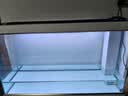 森森（SUNSUN）大型鱼缸底过滤水族箱客厅家用落地玻璃生态金鱼缸 【实时温显+灯控】珍珠白 1.2米长35cm宽 实拍图