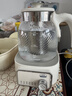 美的（Midea）花漾0胶水全玻璃养生壶多功能煮茶壶母婴调奶器烧水壶恒温电热水壶全自动1.5L MK-YS15B303J 实拍图