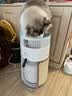 霍尼韦尔（Honeywell）宠物空气净化器吸猫毛除过敏源猫猫搭子 猫毛净化器杀菌消毒除异味KJ360F-C22W 实拍图