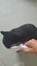 HELLOJOY猫梳子猫咪去浮毛专用猫毛清理器除毛器梳毛刷神器狗狗宠物用品 实拍图