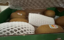 佳沛（zespri）新西兰阳光金奇异果10粒巨大果单果146-175g 猕猴桃水果礼盒 实拍图