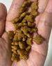 皇家狗粮 老年狗粮  小型犬粮SPR27全价狗粮8岁以上 2KG【宠物金选】 实拍图