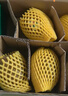 佳沛（zespri）绿奇异果10个装 宝宝果单果约80-89g 水果猕猴桃包邮 实拍图