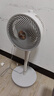 美的（Midea）【全新升级】落地空气循环扇大风量电风扇轻音家用台式摇头卧室节能小风扇柔风净化换气扇GAJ24HBZ 实拍图