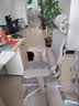 Ergonor保友金豪b雄鹰 人体工学椅 电脑椅 电竞椅办公椅子可躺老板椅 【金豪b雄鹰X】银白网 实拍图