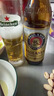 保拉纳（Paulaner）德国原装进口柏龙保拉纳小麦白啤酒 小麦啤酒 500mL 20瓶 整箱装 【26年3月产】 实拍图